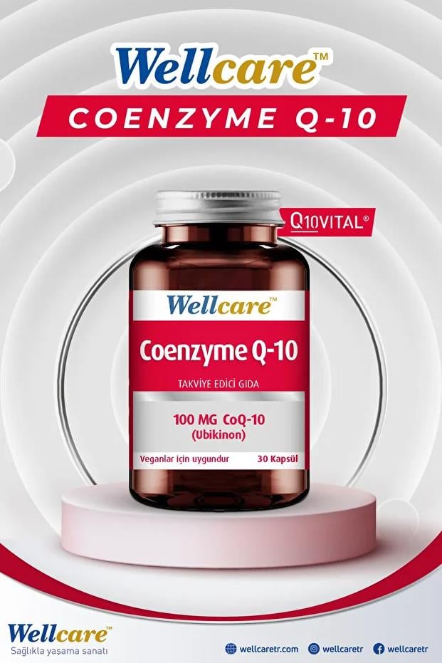 WellcareWellcare Coenzyme Q10 100 mg 30 KapsülWellcare Coenzyme Q-10 100 mg 30 Kapsül Fiyatı ve Özellikleri | Mutlufiyatlar