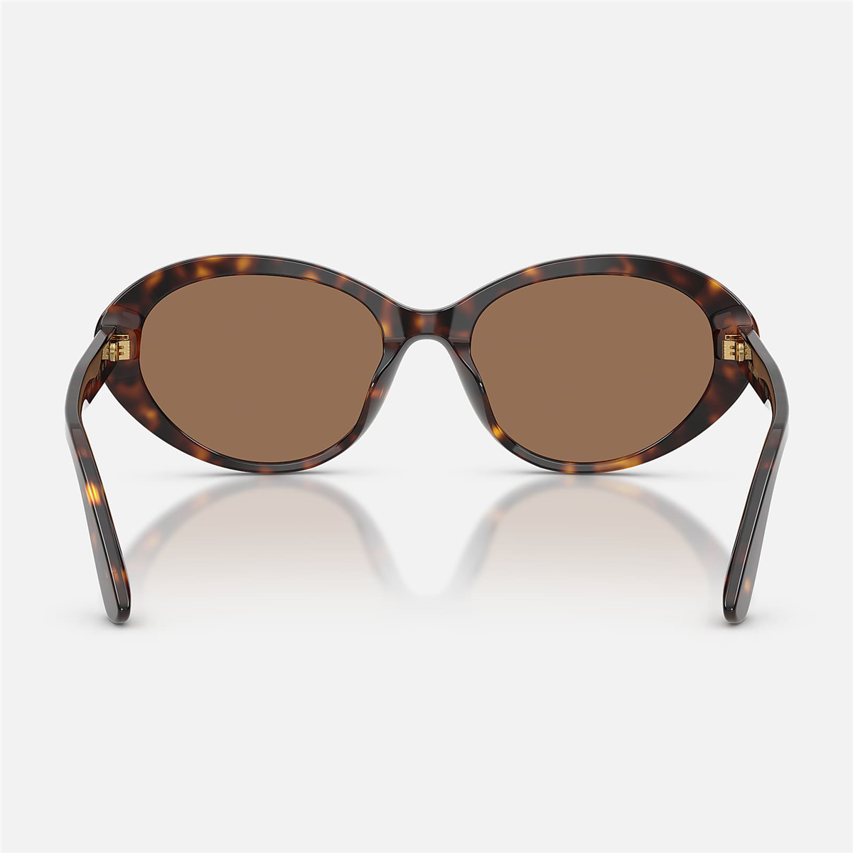Dolce & Gabbana DNA DG 4570 502/73 53 - Havana Kadın Güneş Gözlüğü