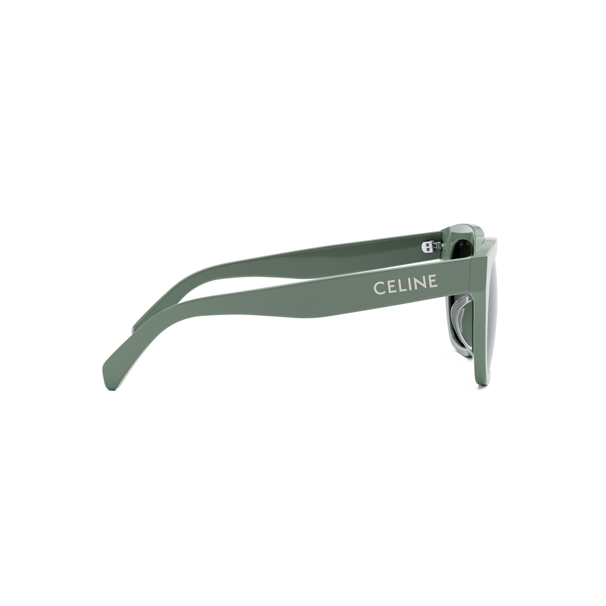 Celine Monochroms 03 CL 40198F 95A