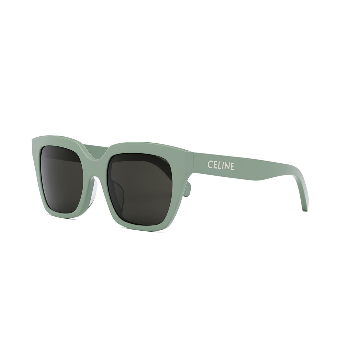 Celine Monochroms 03 CL 40198F 95A