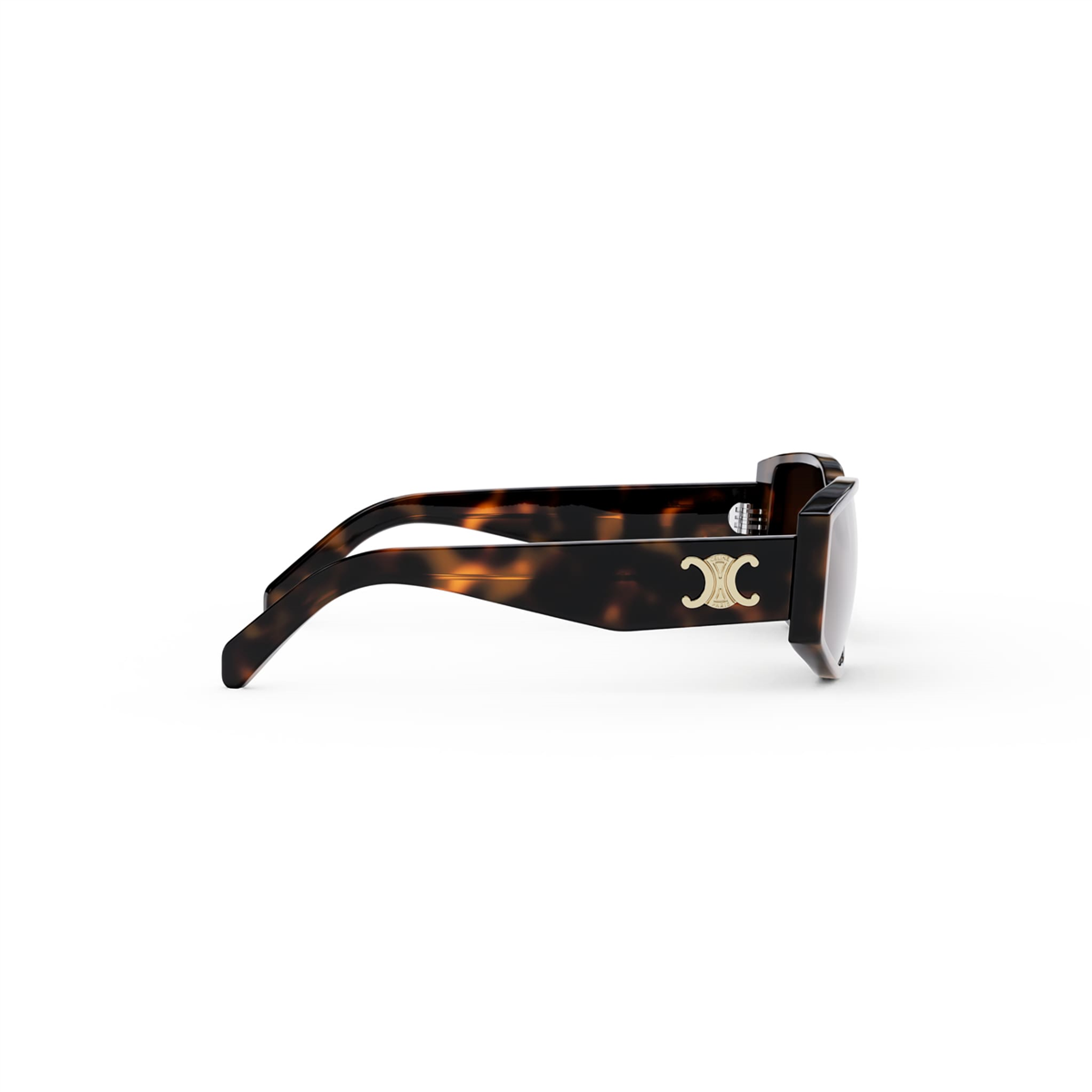 Celine Triomphe CL 40227U 53E
