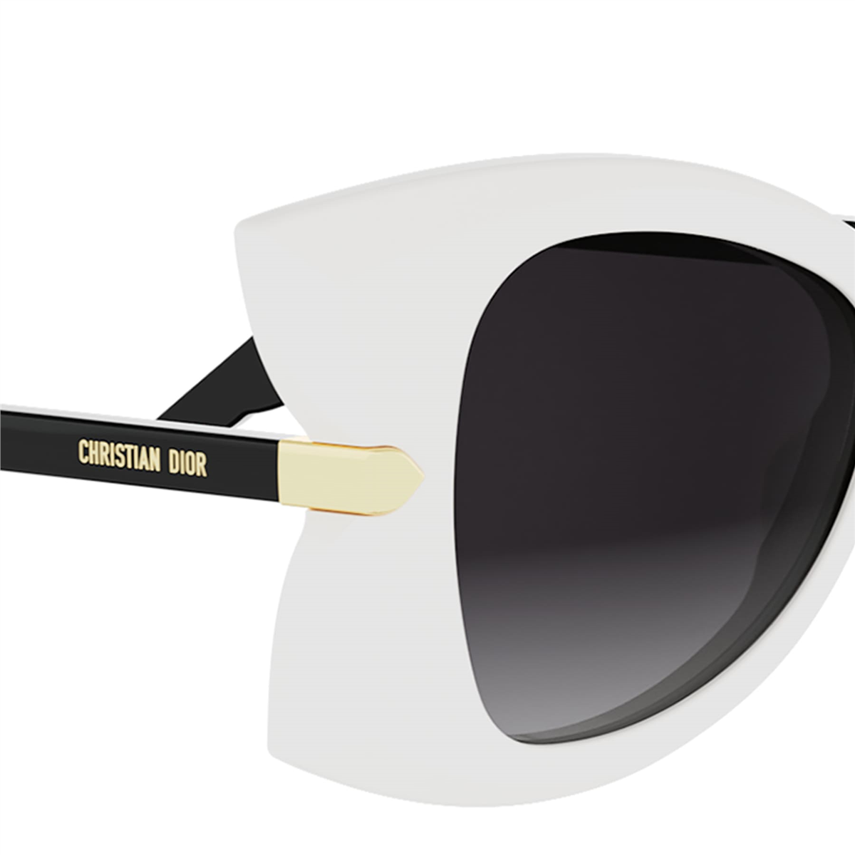 Dior Diorbutterfly S1I CD 40227I 25B