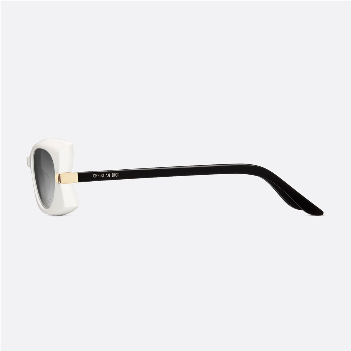 Dior Diorbutterfly S2I CD 40228I 25B