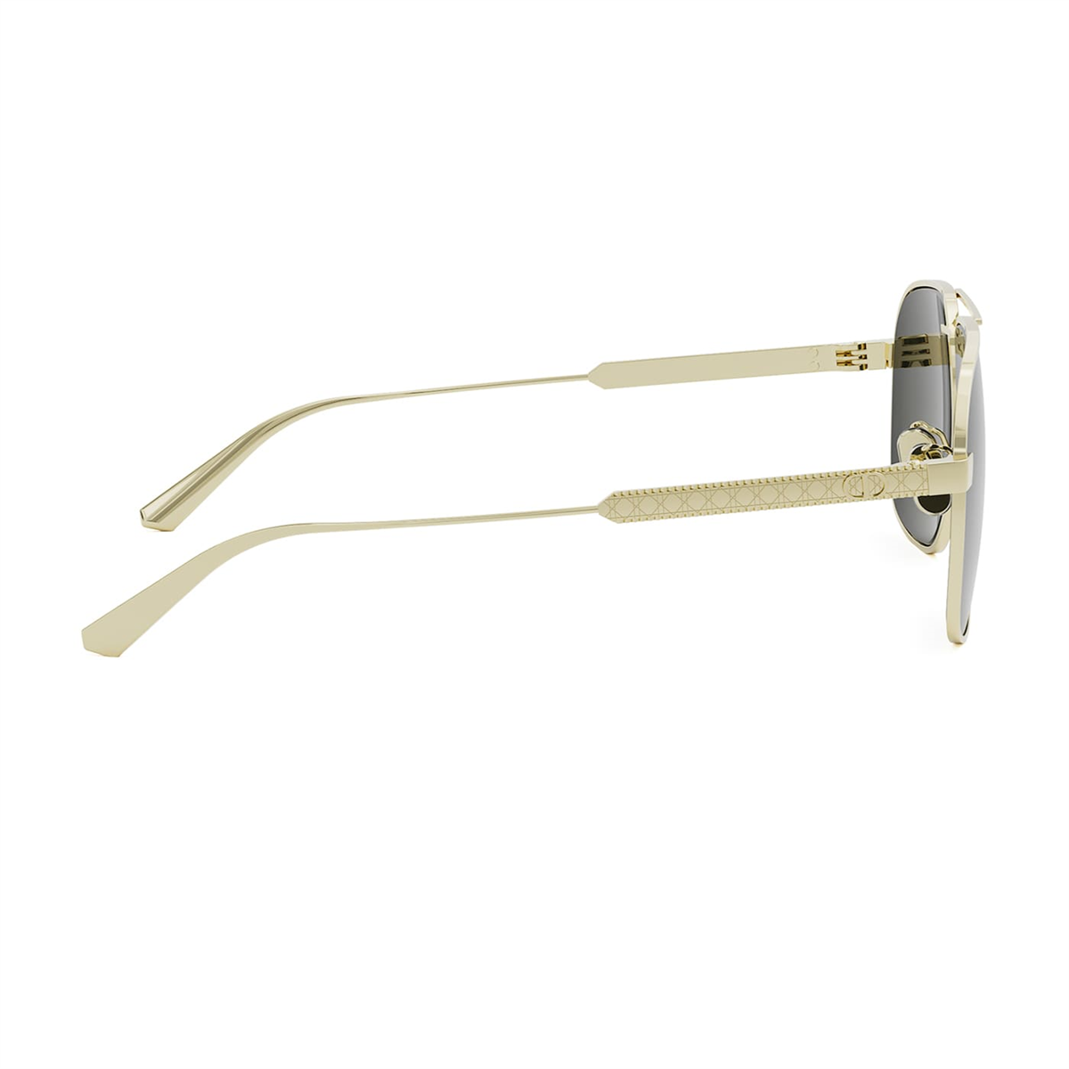 Dior Diorcannage A3U CD 40184U 10N