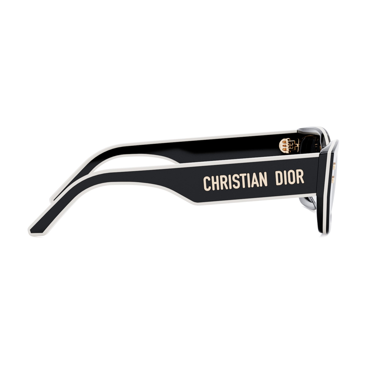 Dior DiorPacific S2U CD 40113U 01A