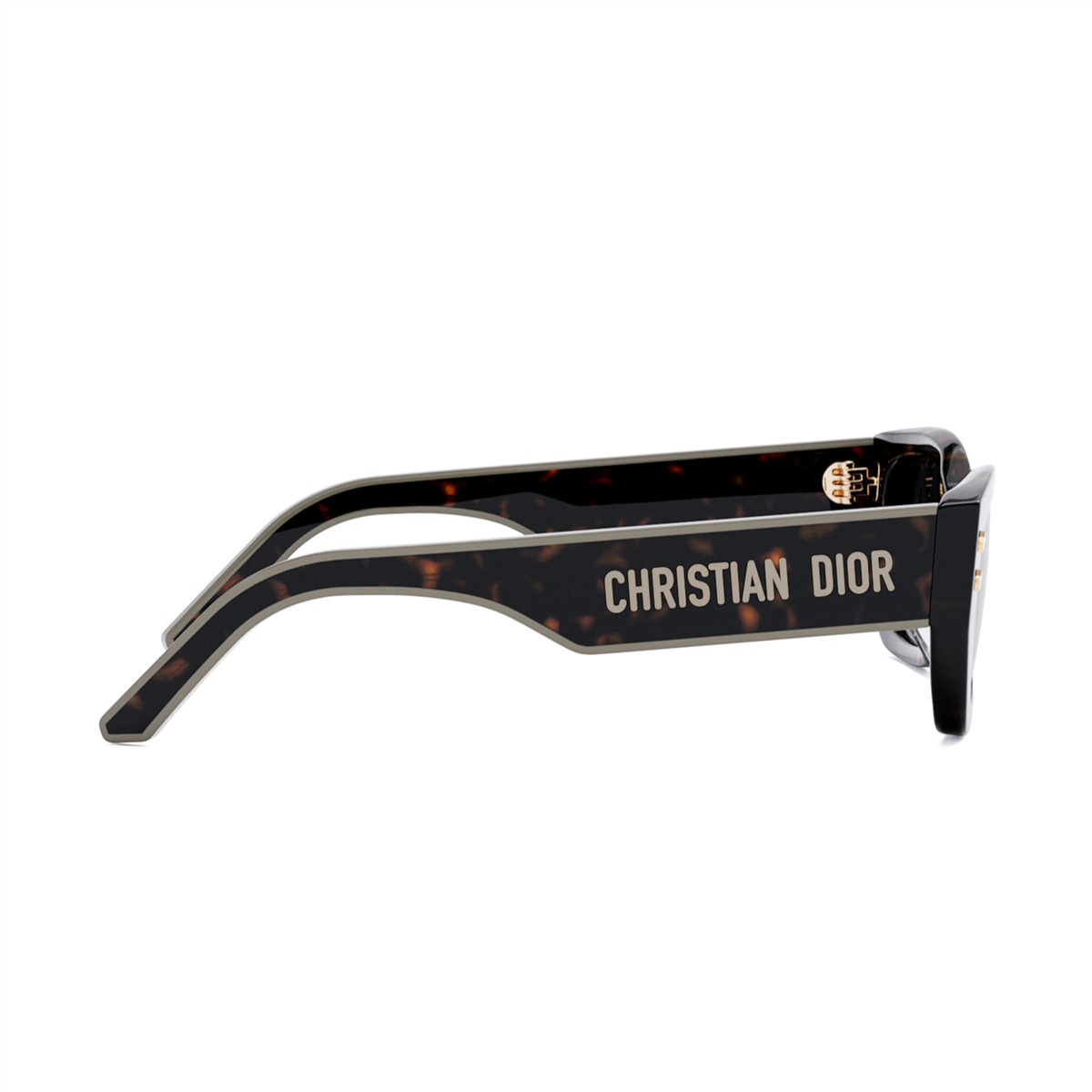 Dior DiorPacific S2U CD 40113U 52A