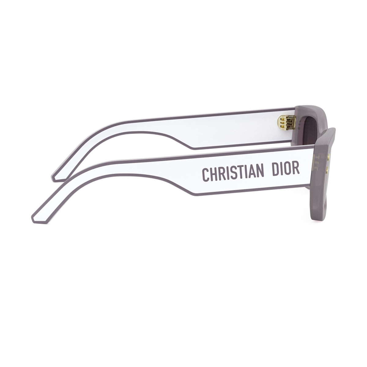 Dior DiorPacific S2U CD 40113U 69T
