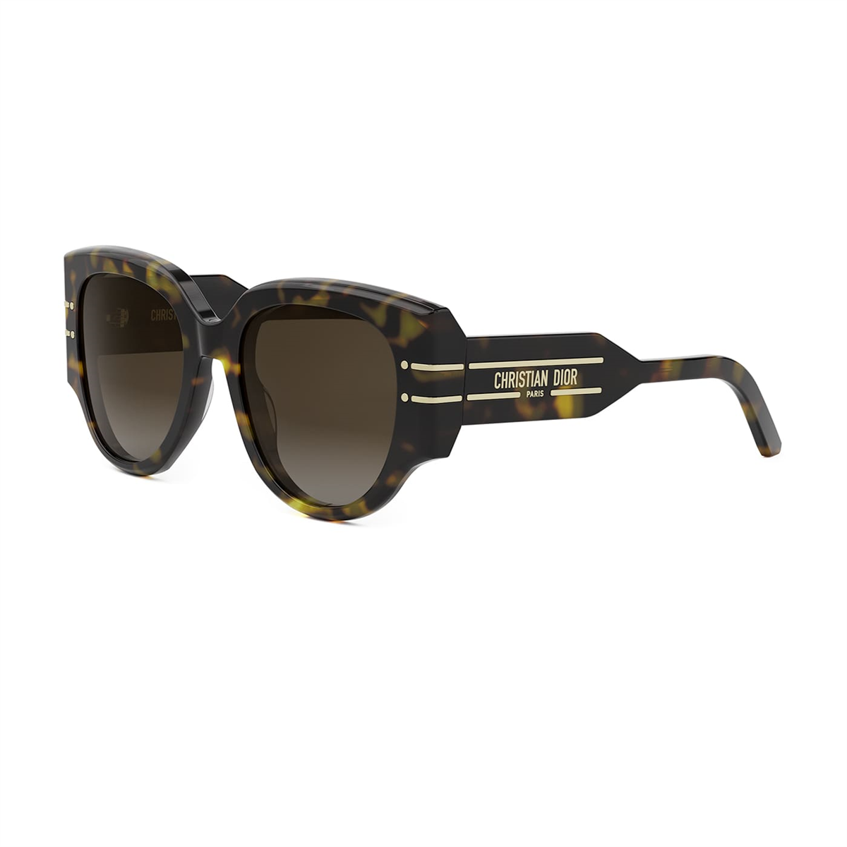 Dior Diorsignature R2I CD 40187I 52F