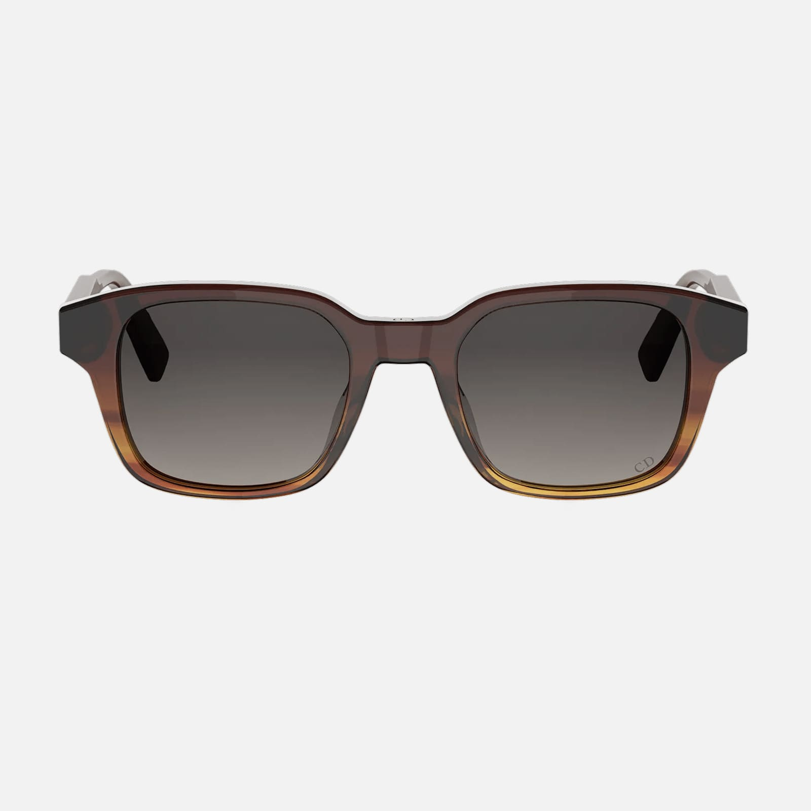 Dior Ibbon S1I DM 40190I 56B Erkek Güneş Gözlüğü