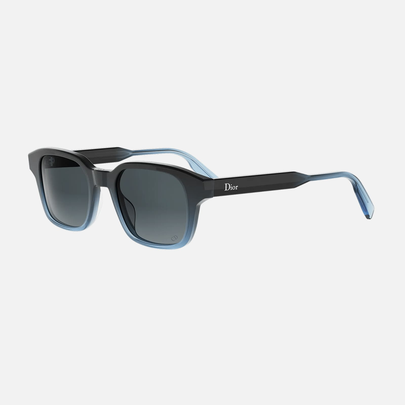 Dior Ibbon S1I DM 40190I  Erkek Güneş Gözlüğü