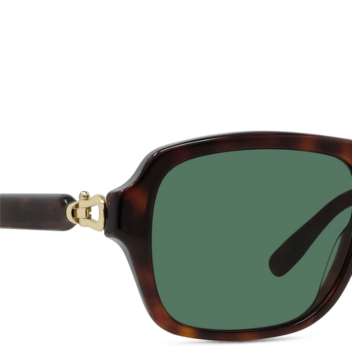 Fred Manille Acetate FG 40095I 54N Erkek Güneş Gözlüğü