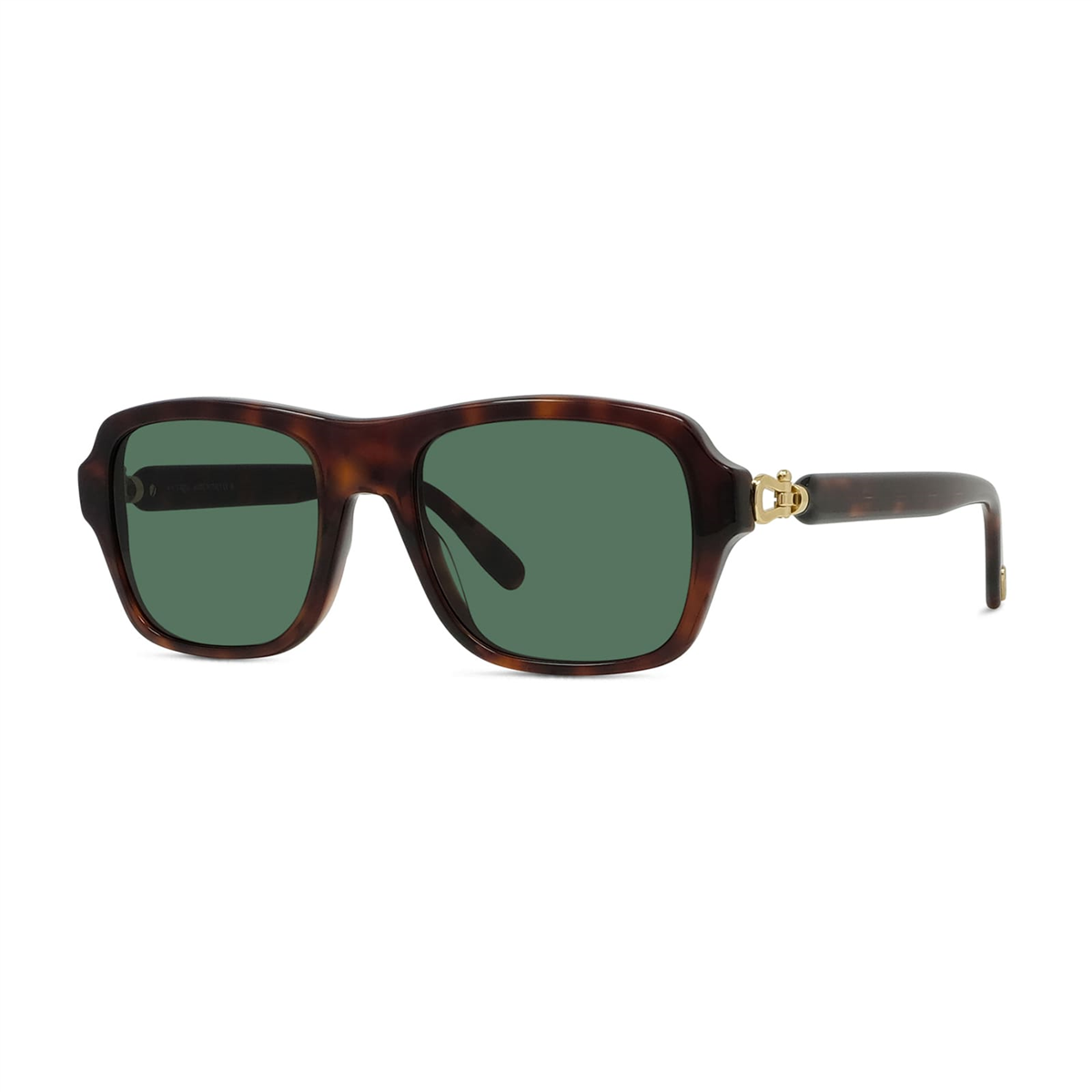 Fred Manille Acetate FG 40095I 54N Erkek Güneş Gözlüğü