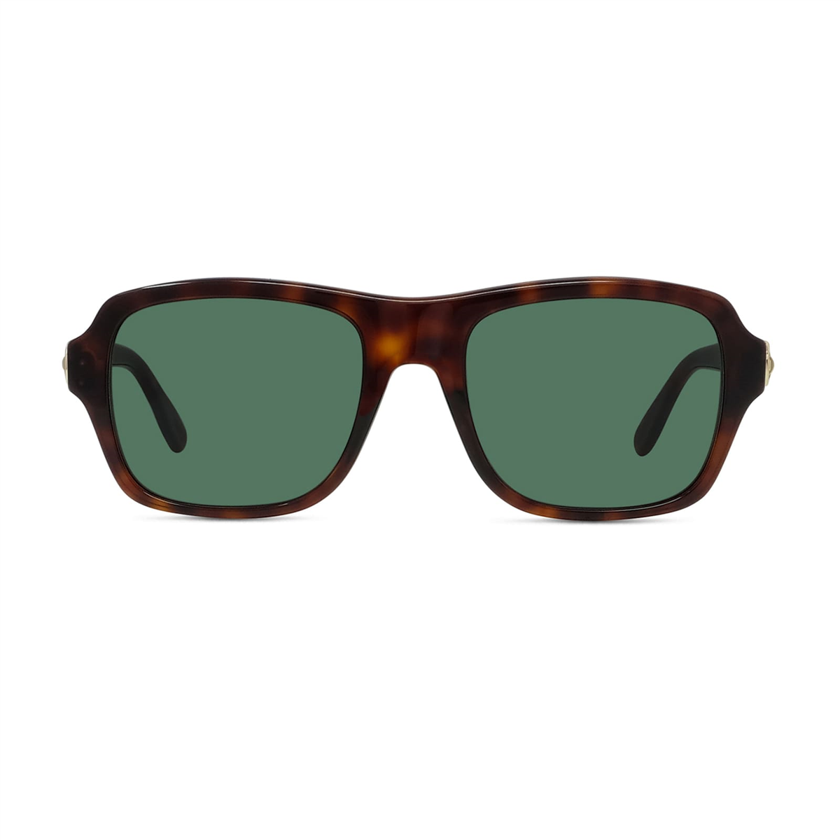 Fred Manille Acetate FG 40095I 54N Erkek Güneş Gözlüğü