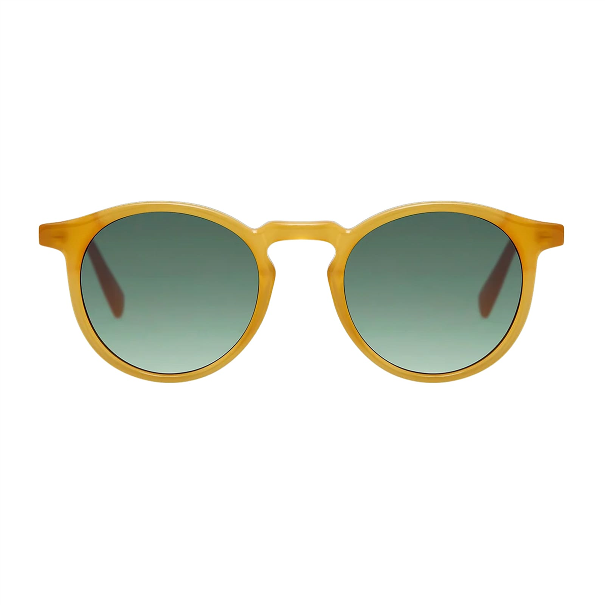 Gigi Studios Roy GS2005 55 Unisex Güneş Gözlüğü