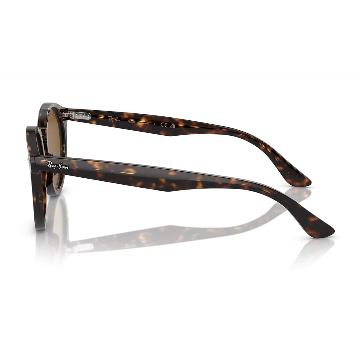 Ray Ban Larry Oval Havana Unisex Güneş Gözlüğü | Brandeyes