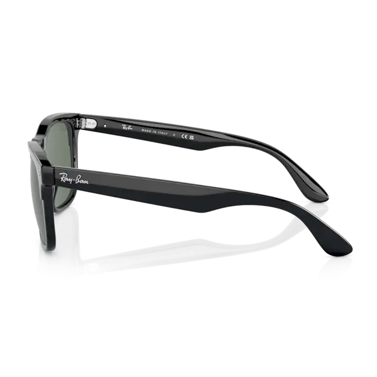 Ray-Ban Steve RB 4487 662971 54