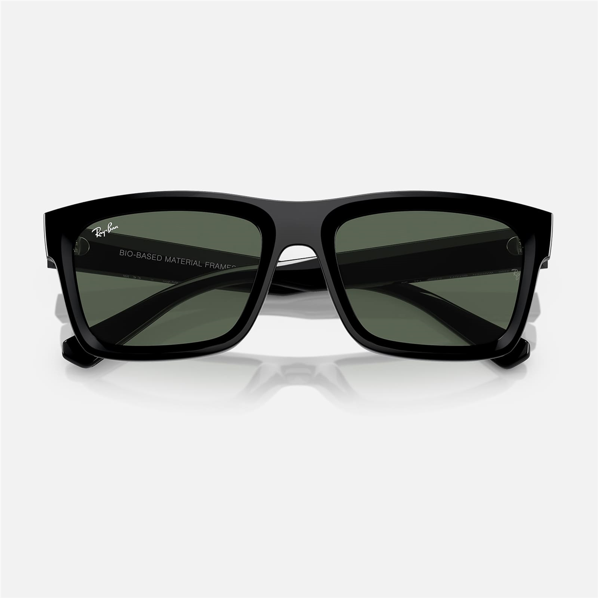 Ray-Ban Warren RB 4396 667771 54