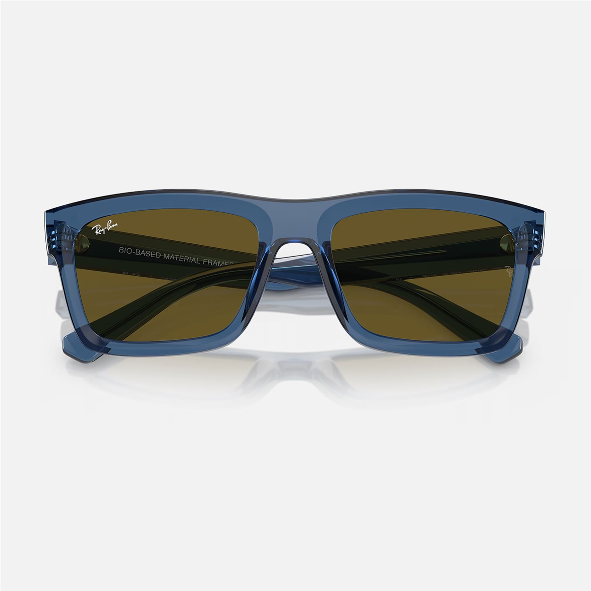 Ray-Ban Warren RB 4396 668073 54