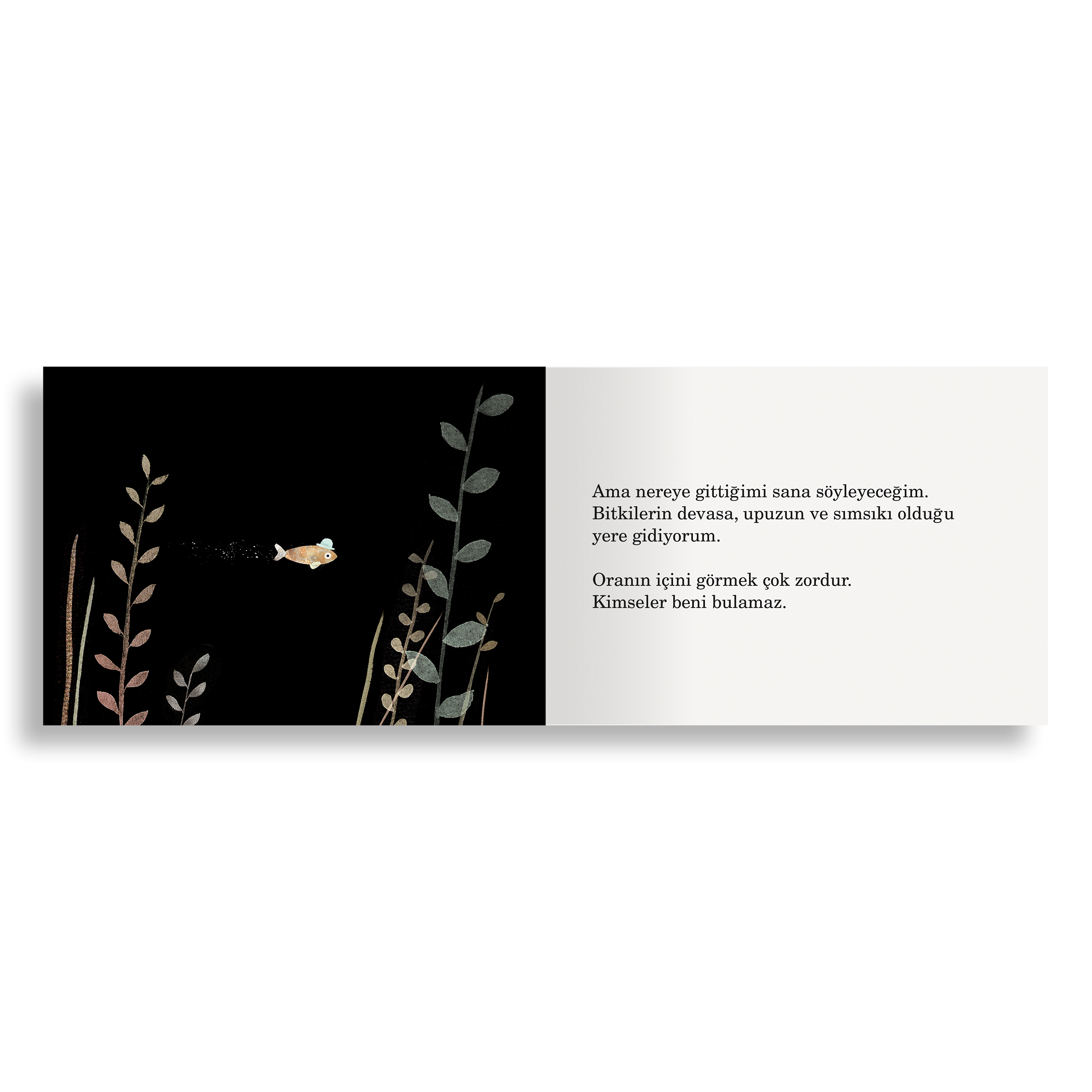 Bu Benim Şapkam Değil