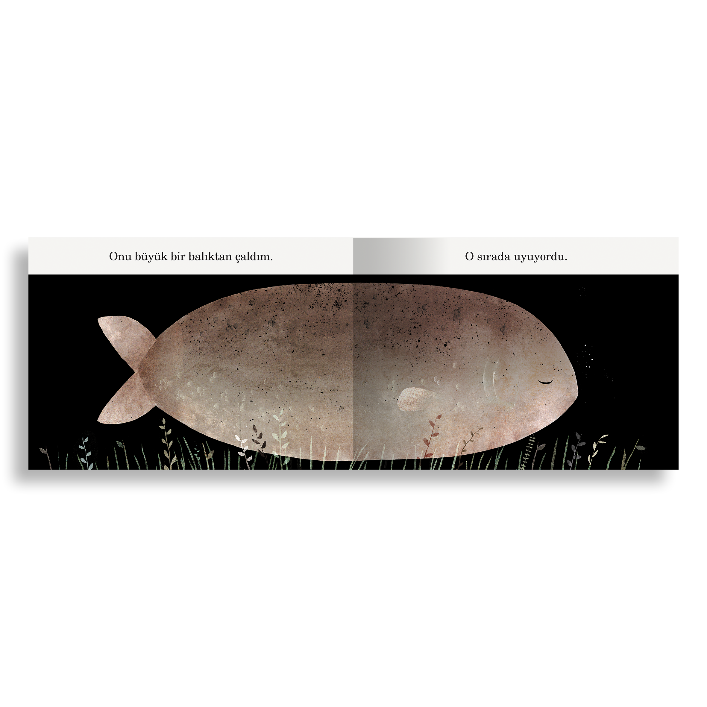 Bu Benim Şapkam Değil