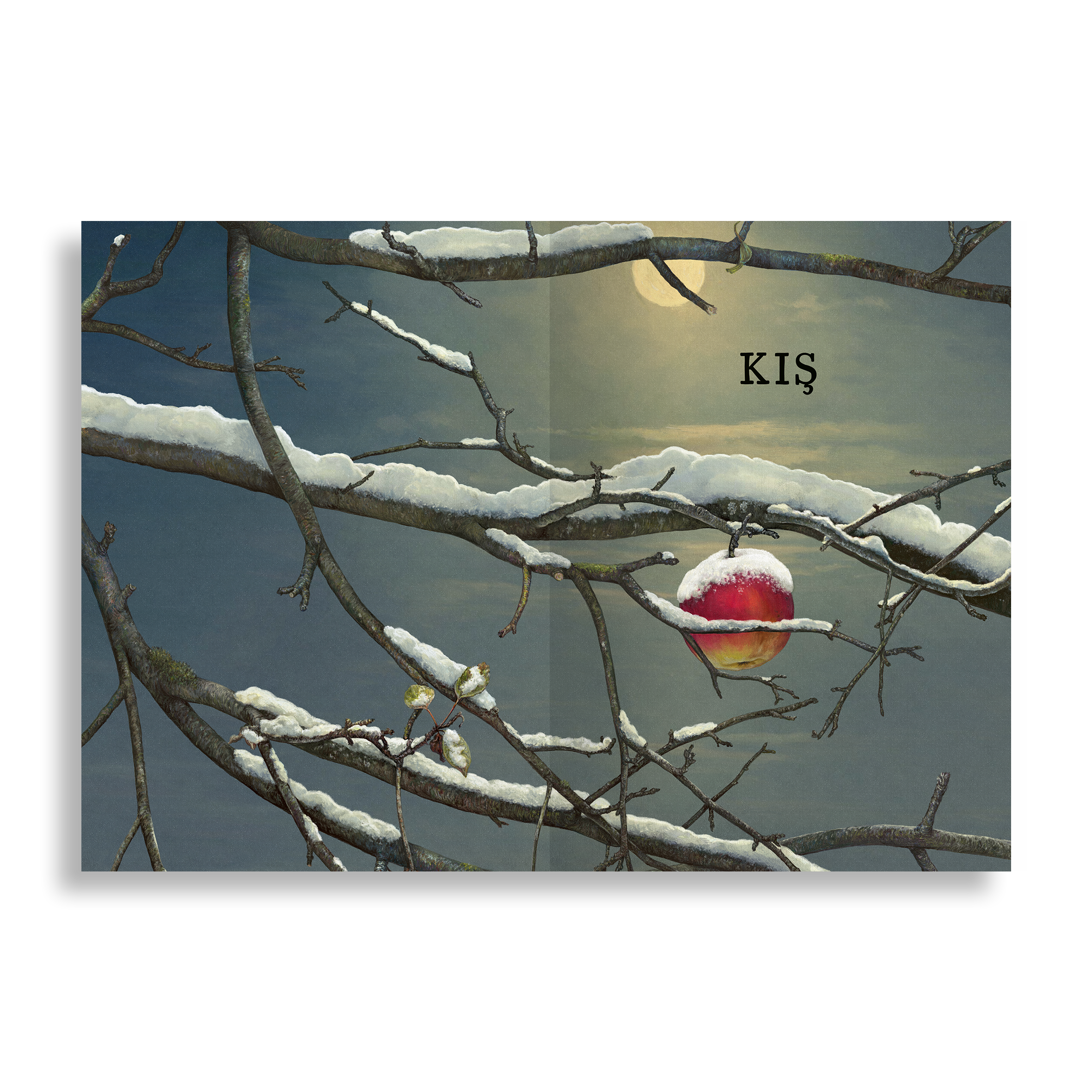 Doğanın Büyük Kitabı Elma Ağacı