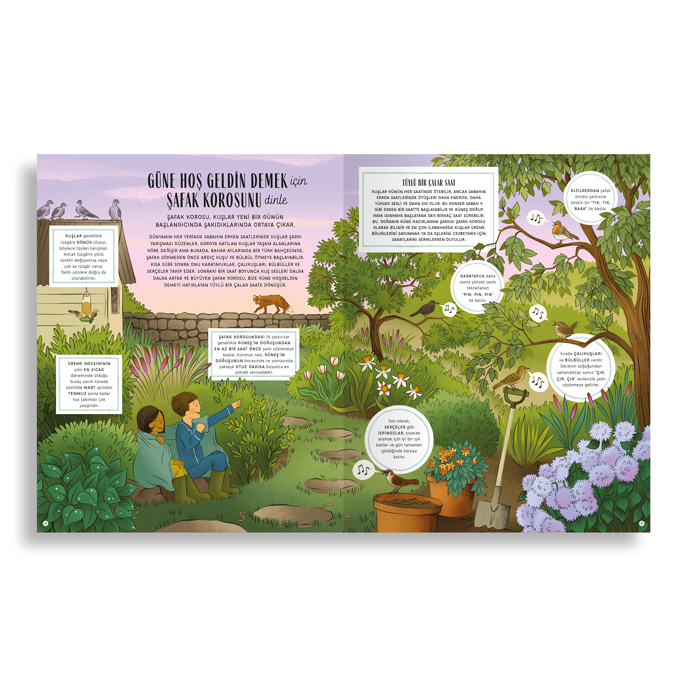 Doğanın Gizli İşaretleri