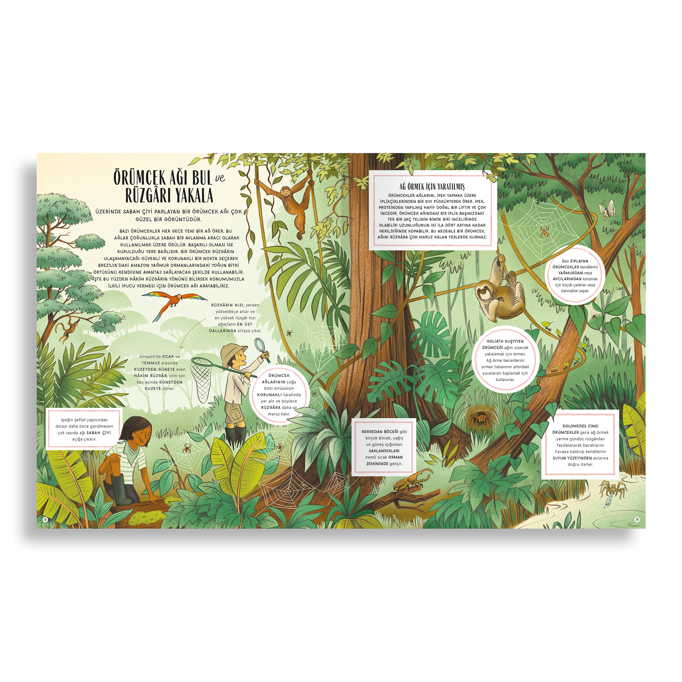 Doğanın Gizli İşaretleri