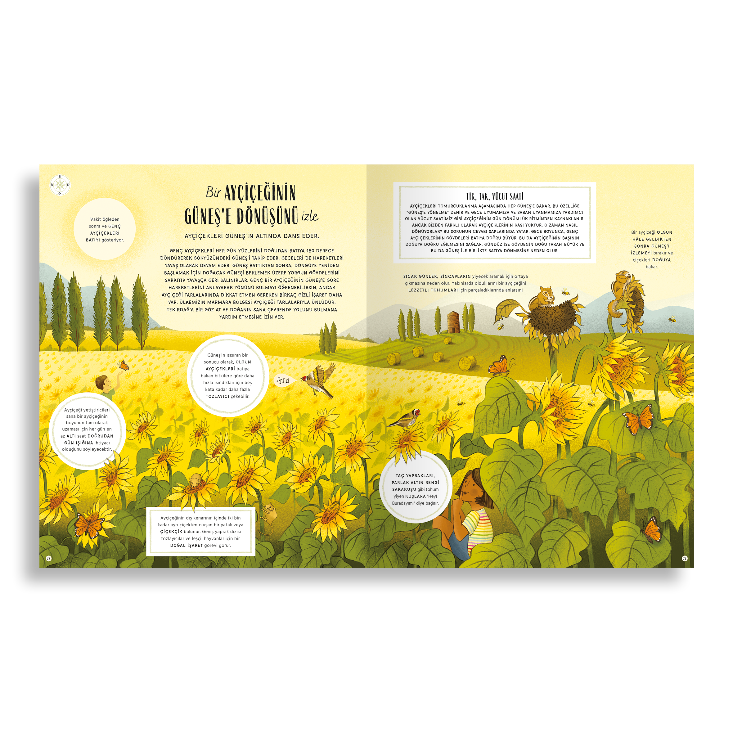 Doğanın Gizli İşaretleri