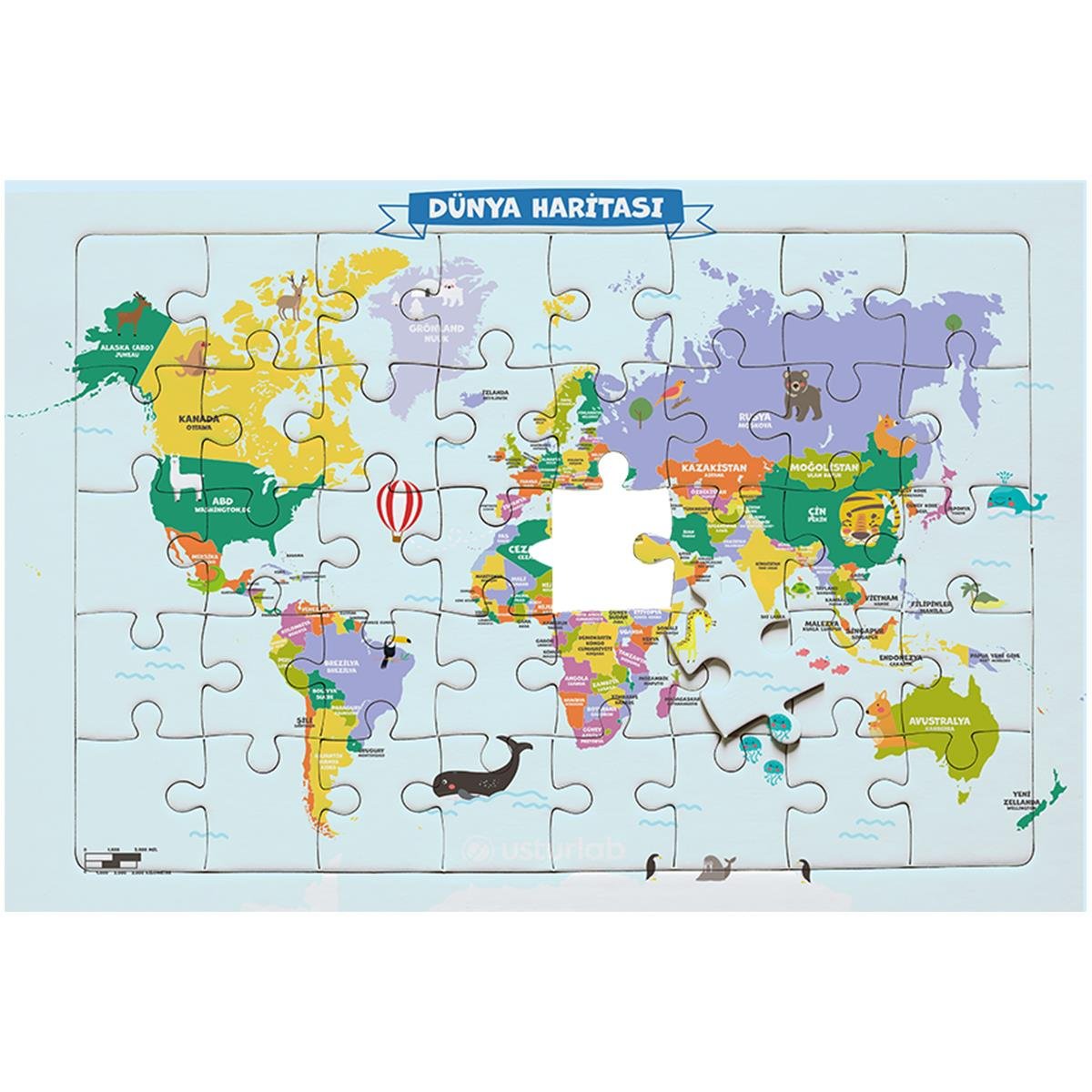 Dünya Şehirler ve Başkentler Haritası Yapbozu