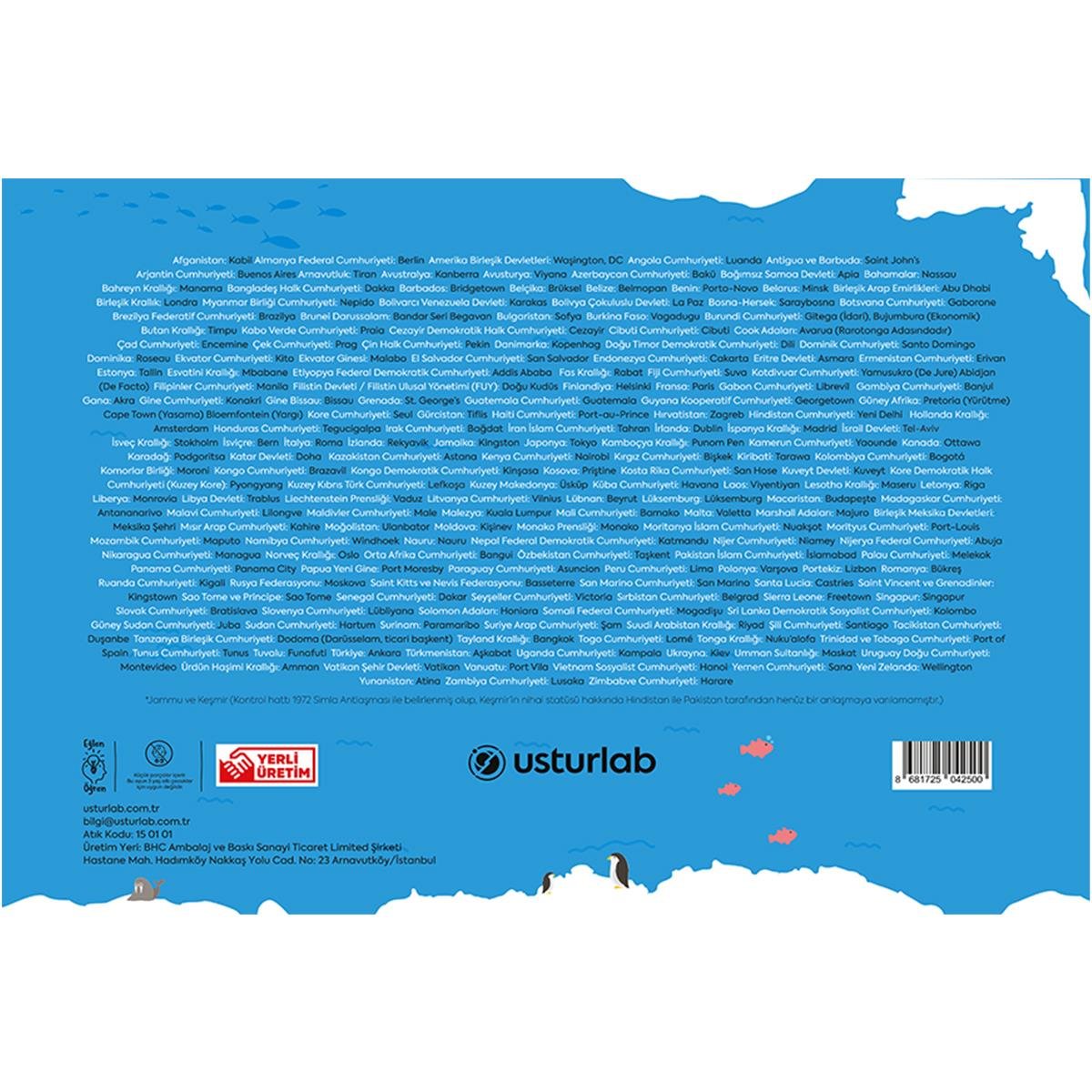 Dünya Şehirler ve Başkentler Haritası Yapbozu