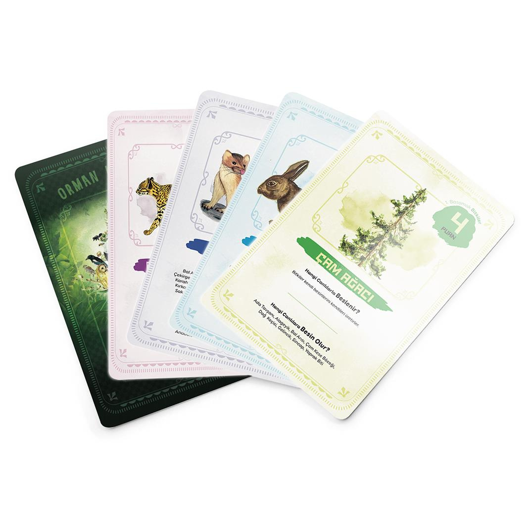 Ekosistem Besin Zinciri Oyunu