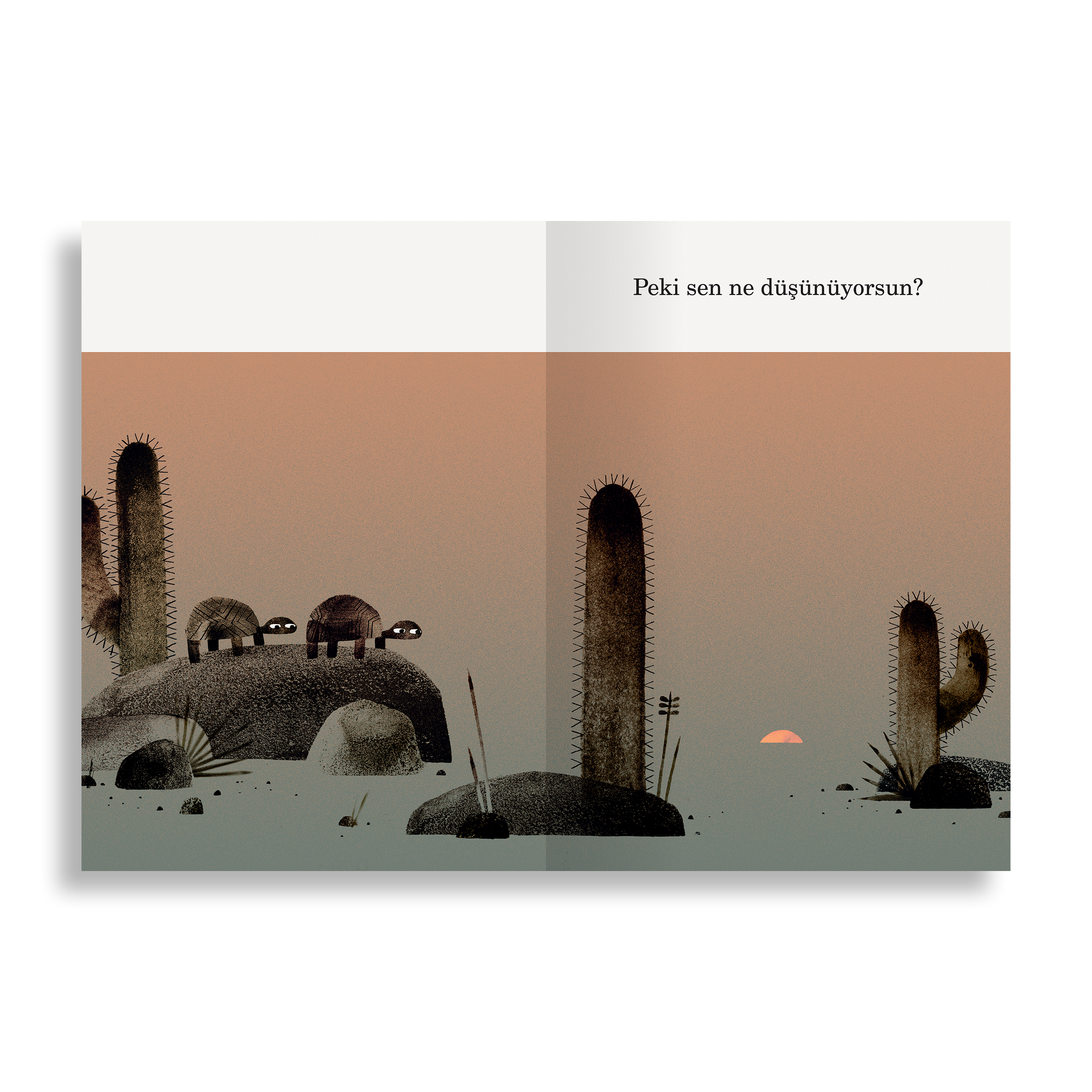 Şapka Üçlemesi | Jon Klassen (3 Kitap)