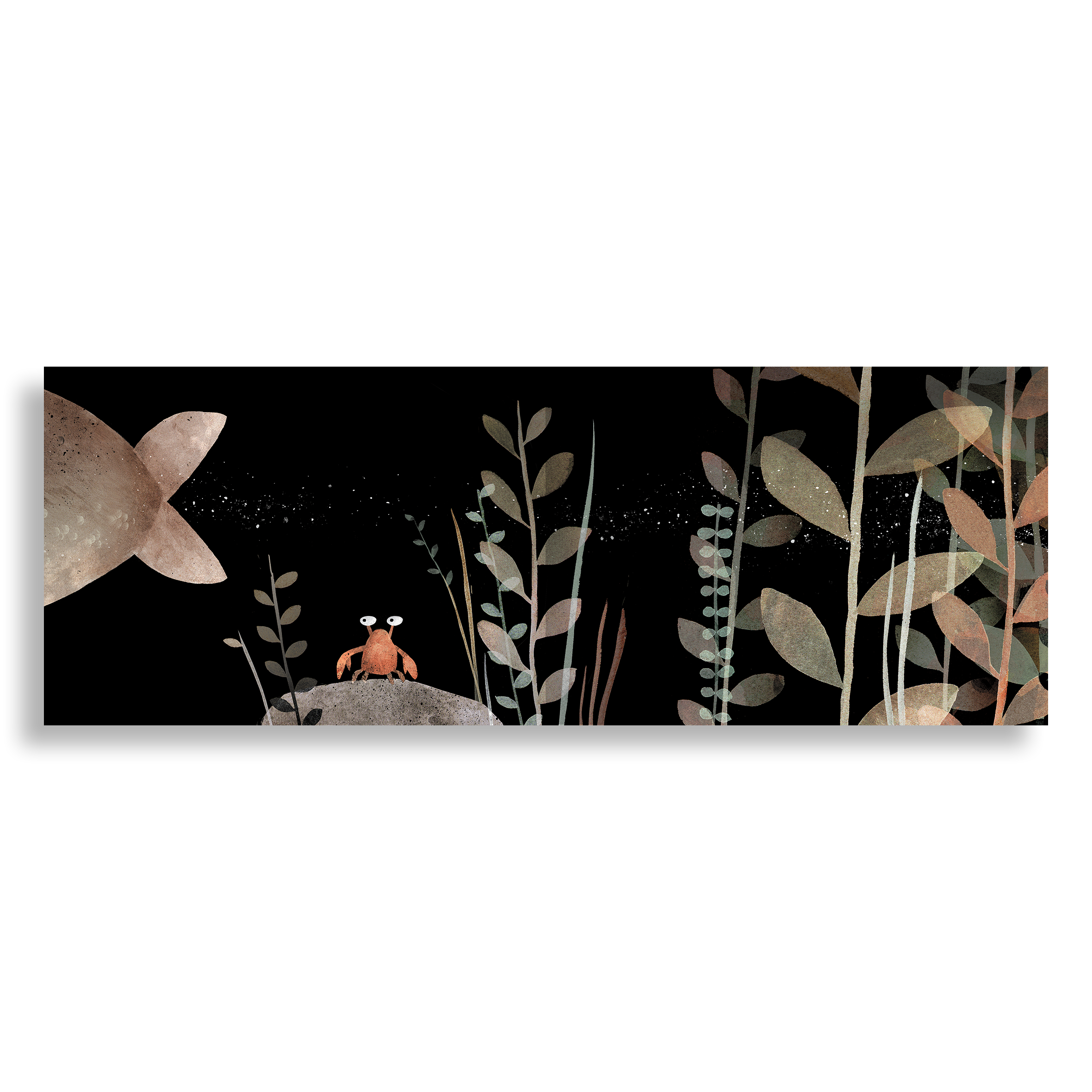 Şapka Üçlemesi | Jon Klassen (3 Kitap)
