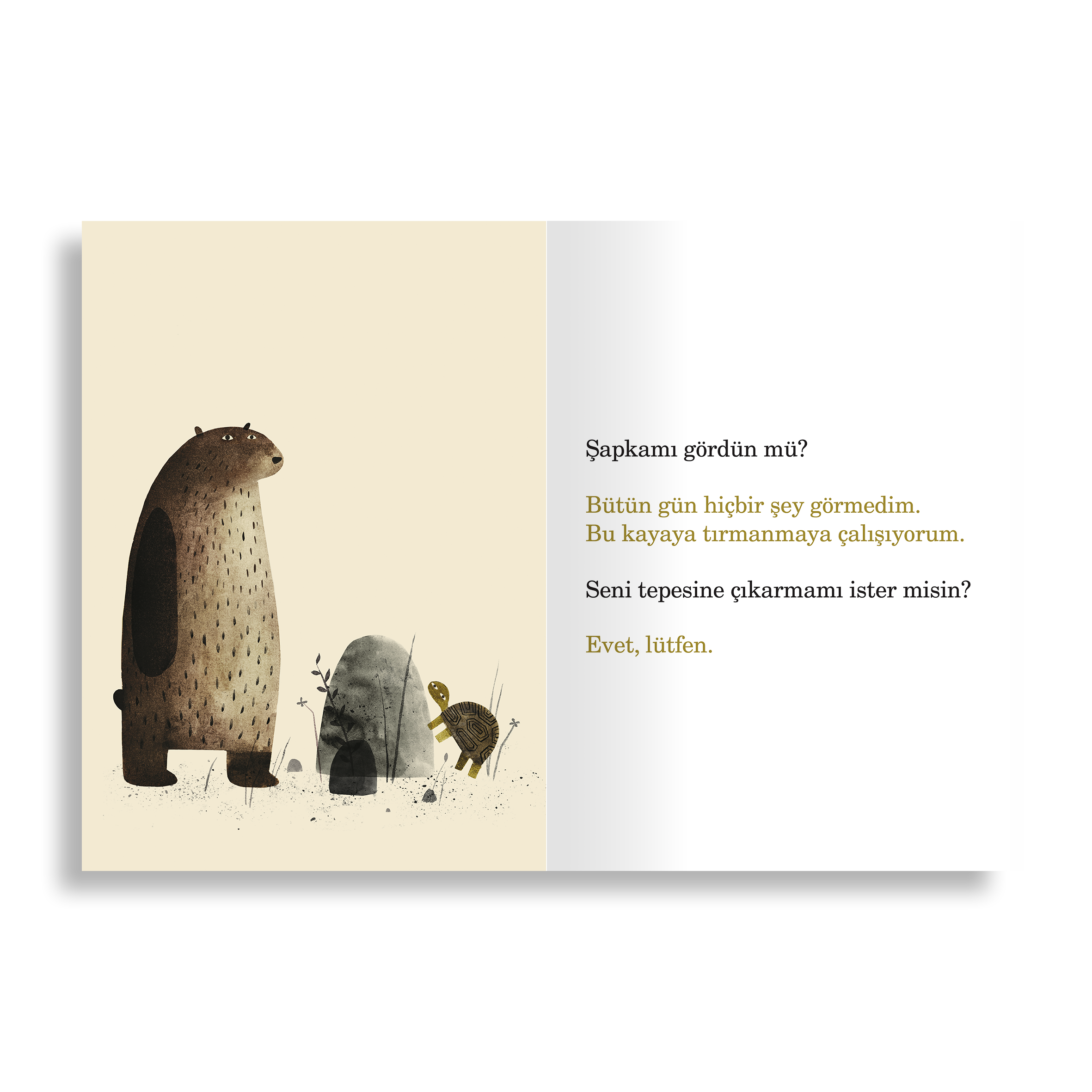 Şapkamı Geri İstiyorum