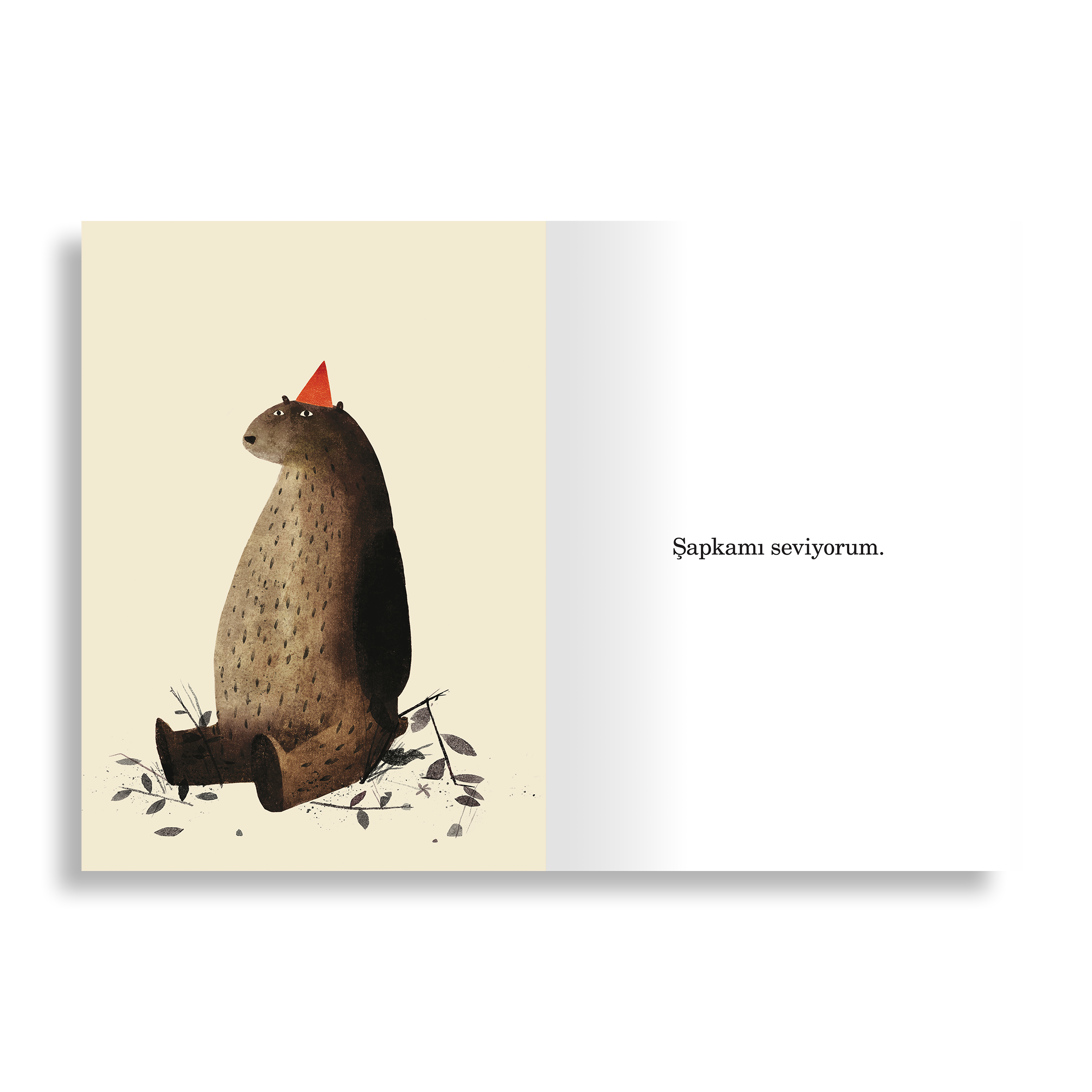 Şapkamı Geri İstiyorum