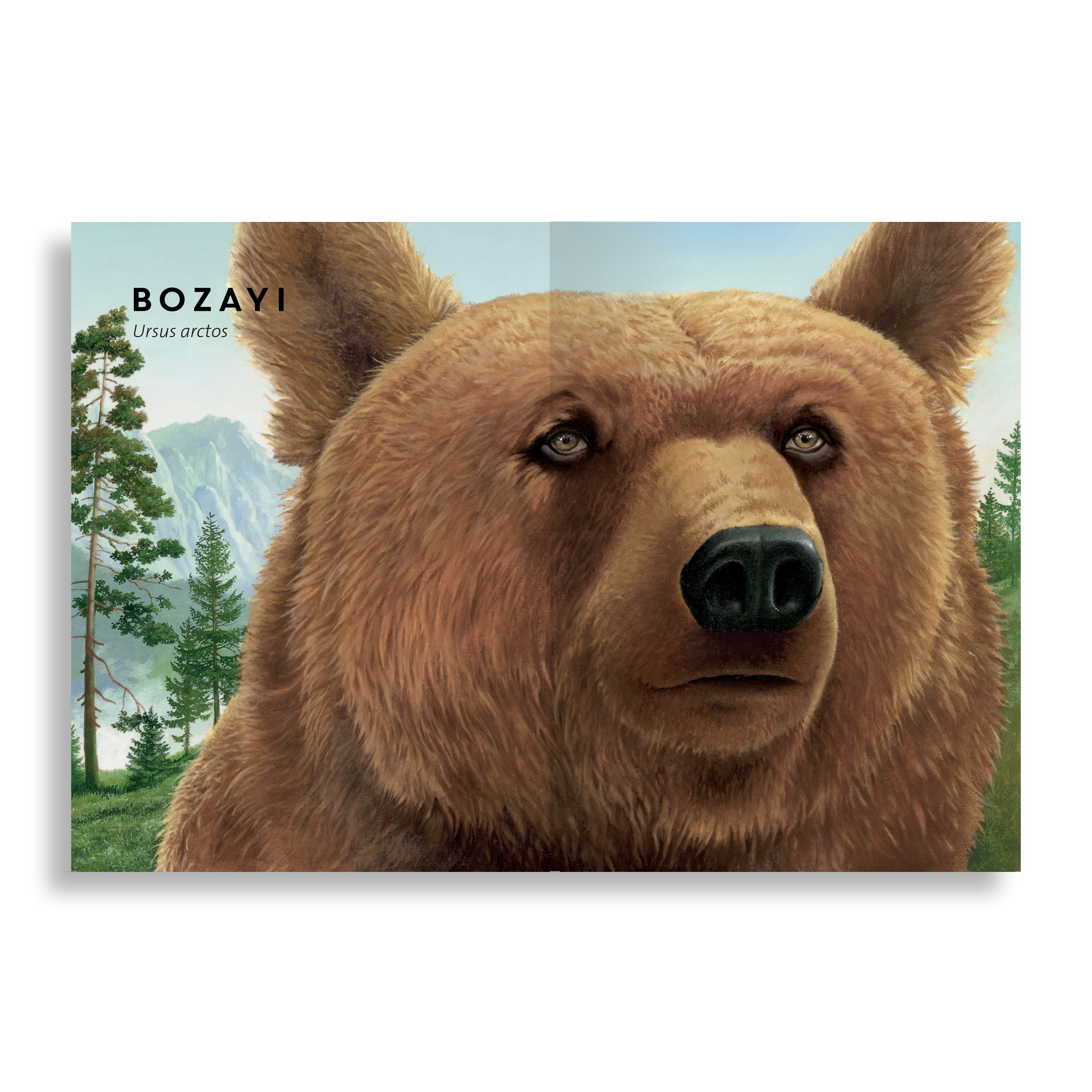 Tıpkısının Aynısı: Orman Hayvanları