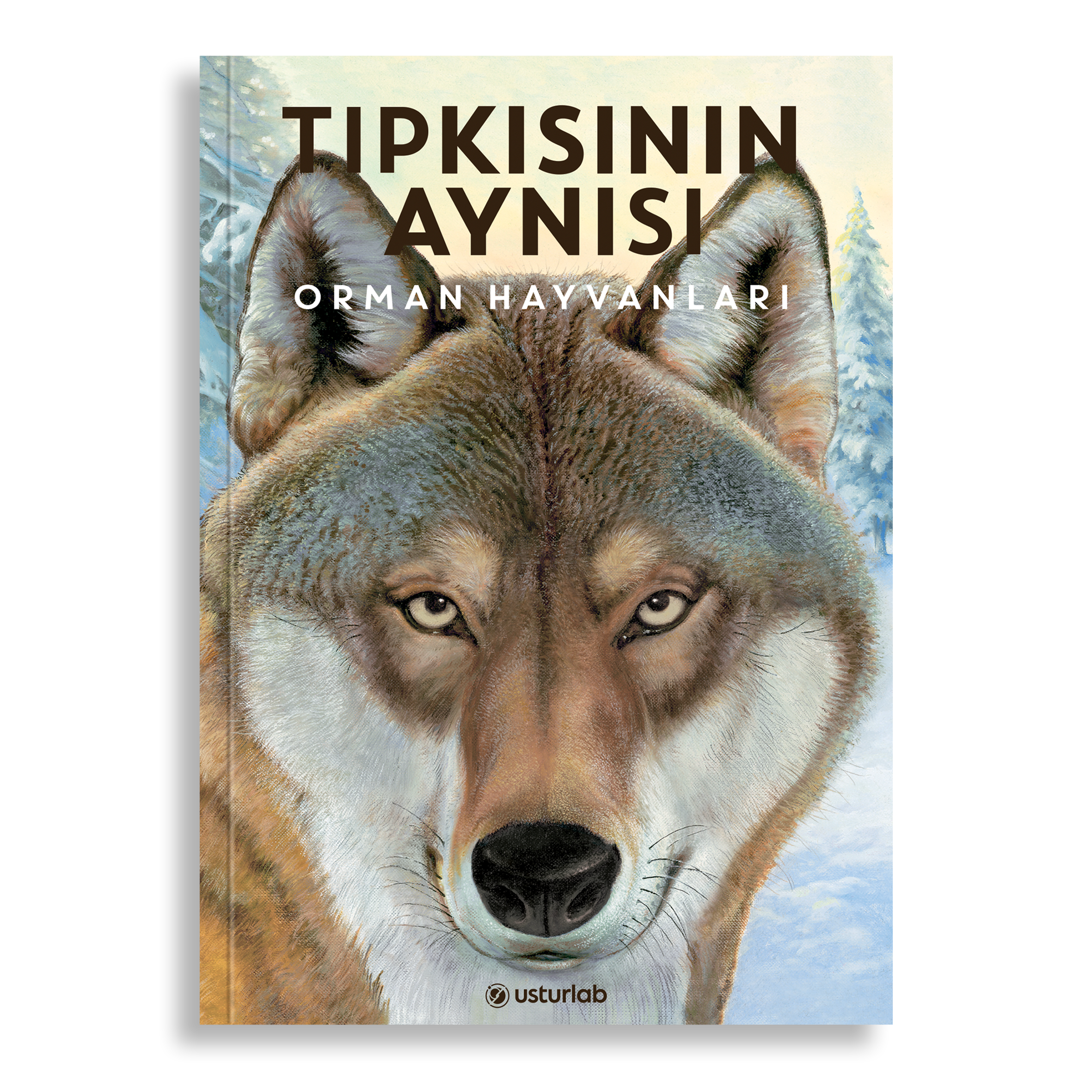 Tıpkısının Aynısı: Orman Hayvanları