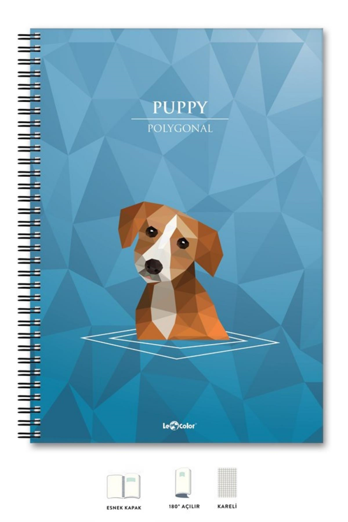 OKUL DEFTERİ A5 Defter Çizgili 200 syf Köpek Polygonal