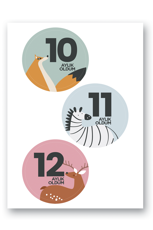 Lecolor Bebek Sticker SetiLecolor Bebek Sticker Seti