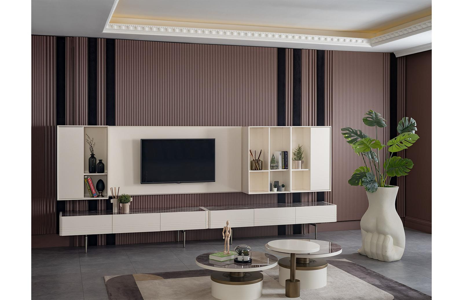 Lively Tv Ünitesi