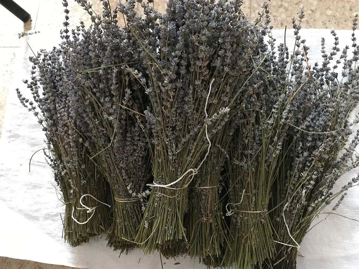 Lavanta Demeti ( 100 gr )