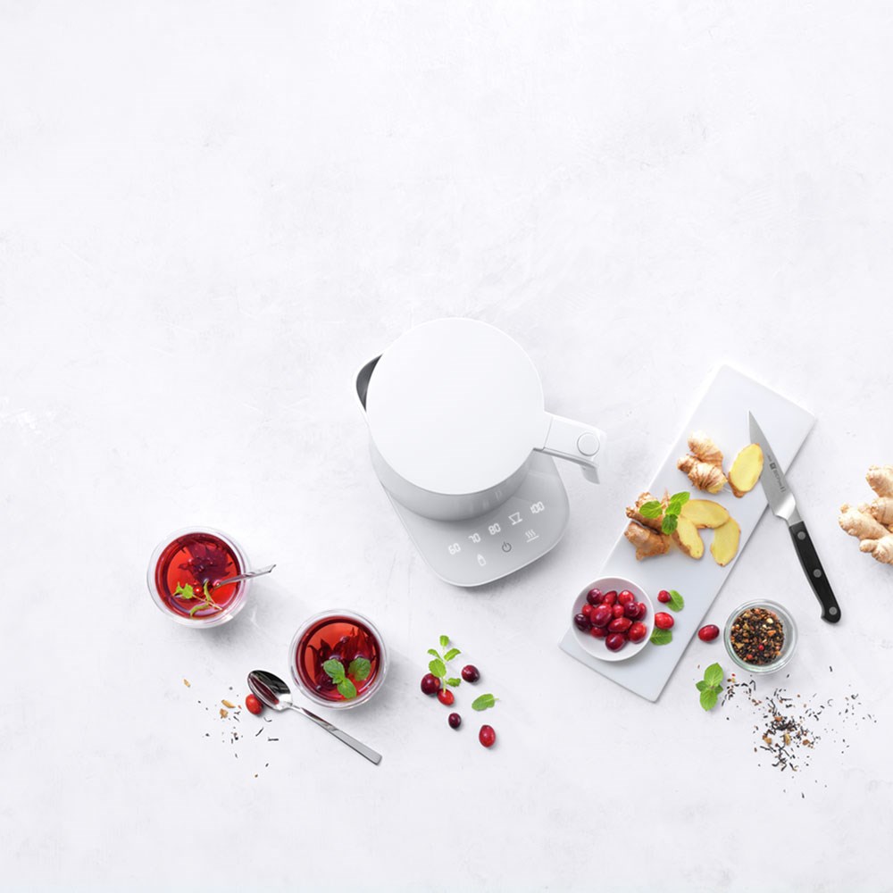 Zwilling Enfinigy Isı Ayarlı Kettle Pro 1.5 L Gri