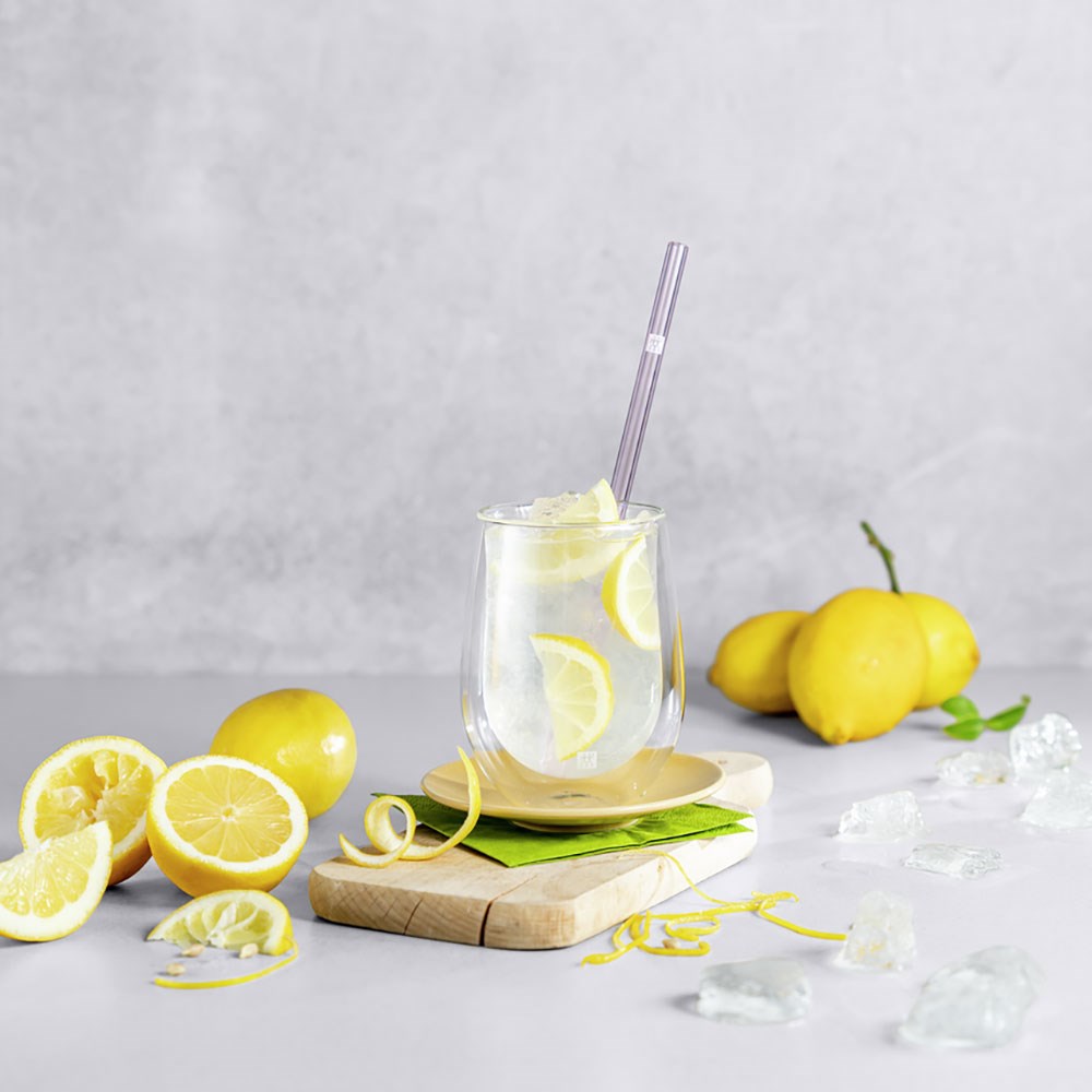Zwilling Sorrento Plus Çift Cidarlı Bardak 2'li 350 ml