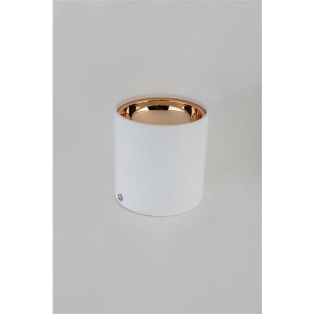 CT-5421 FOÇA SIVA ÜSTÜ LED ARMATÜR