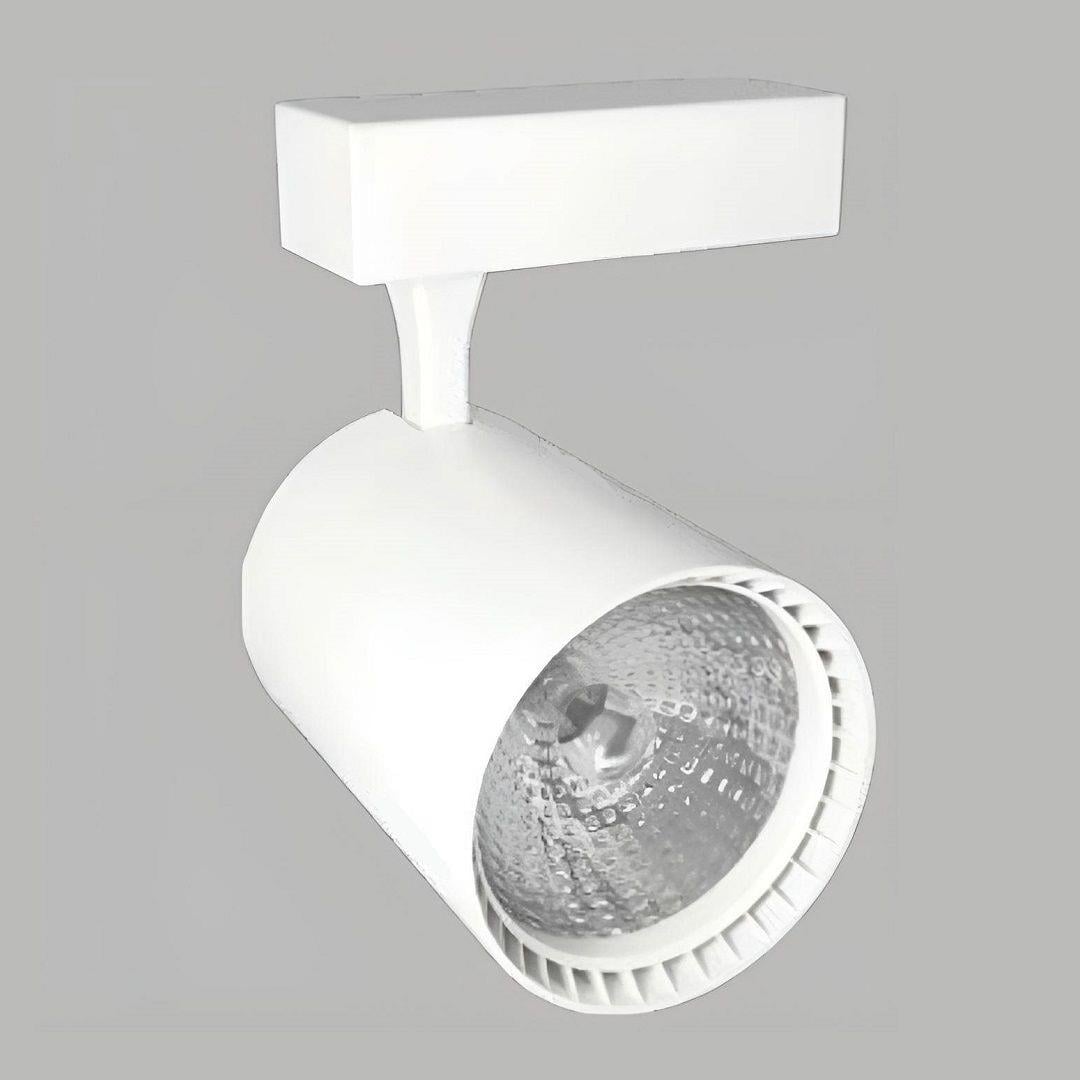 YRS-3005 30W Alüminyum Gövde Led Ray Spot