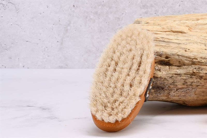 Bioterra At Kılı Fırçası