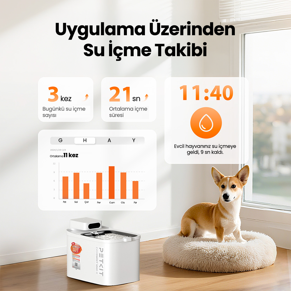 Petkit Eversweet Max 2 (UVC) Su Pınarı