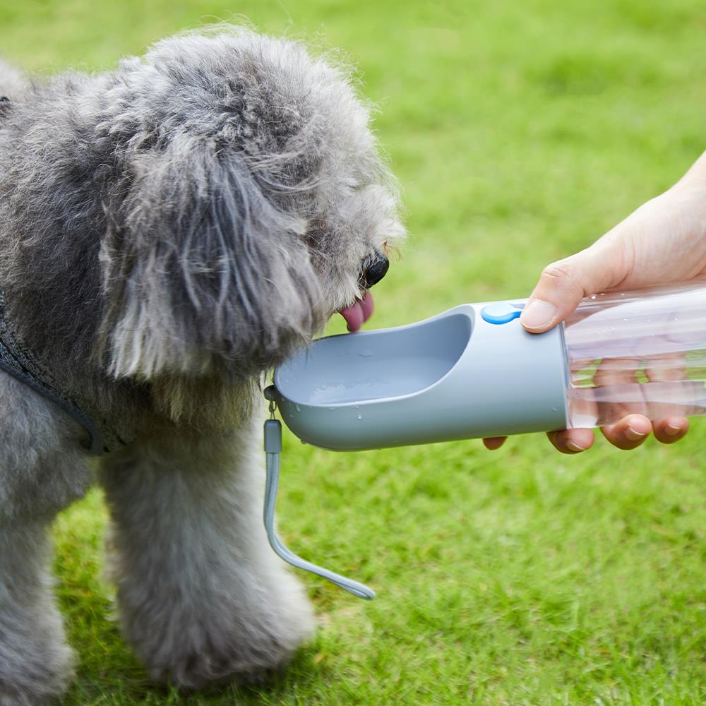 Petkit Eversweet Seyahat Suluğu