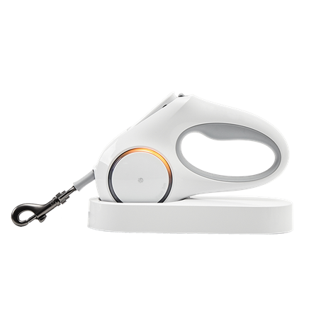 Petkit Ledli Köpek Tasması 3M