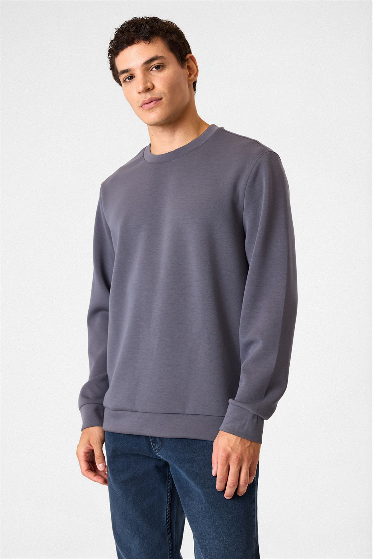 Regular Fit Bisiklet Yaka Gri Sweatshirt
